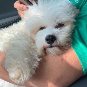 Meet your Posher, Melissa